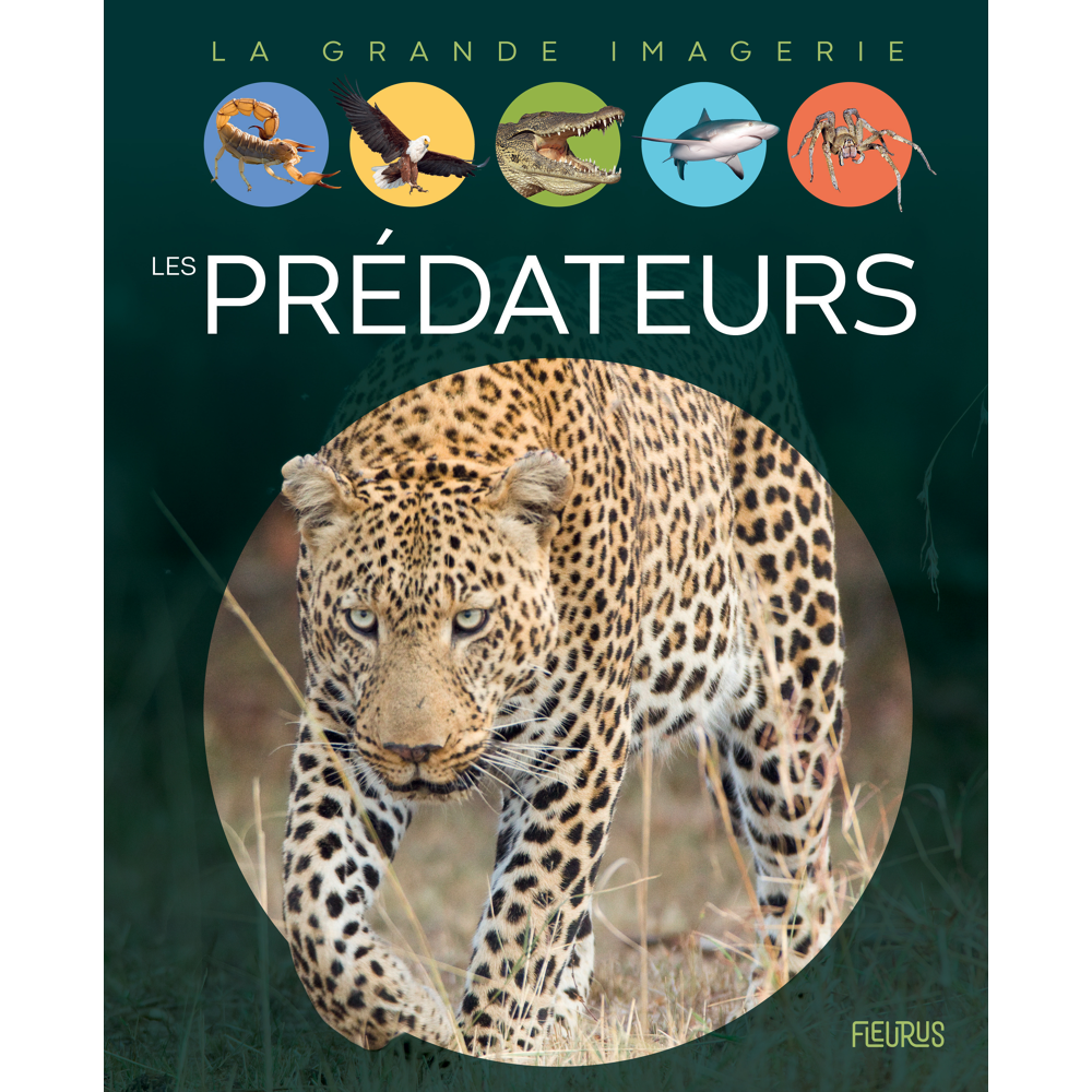 Les prédateurs (Jeunesse)