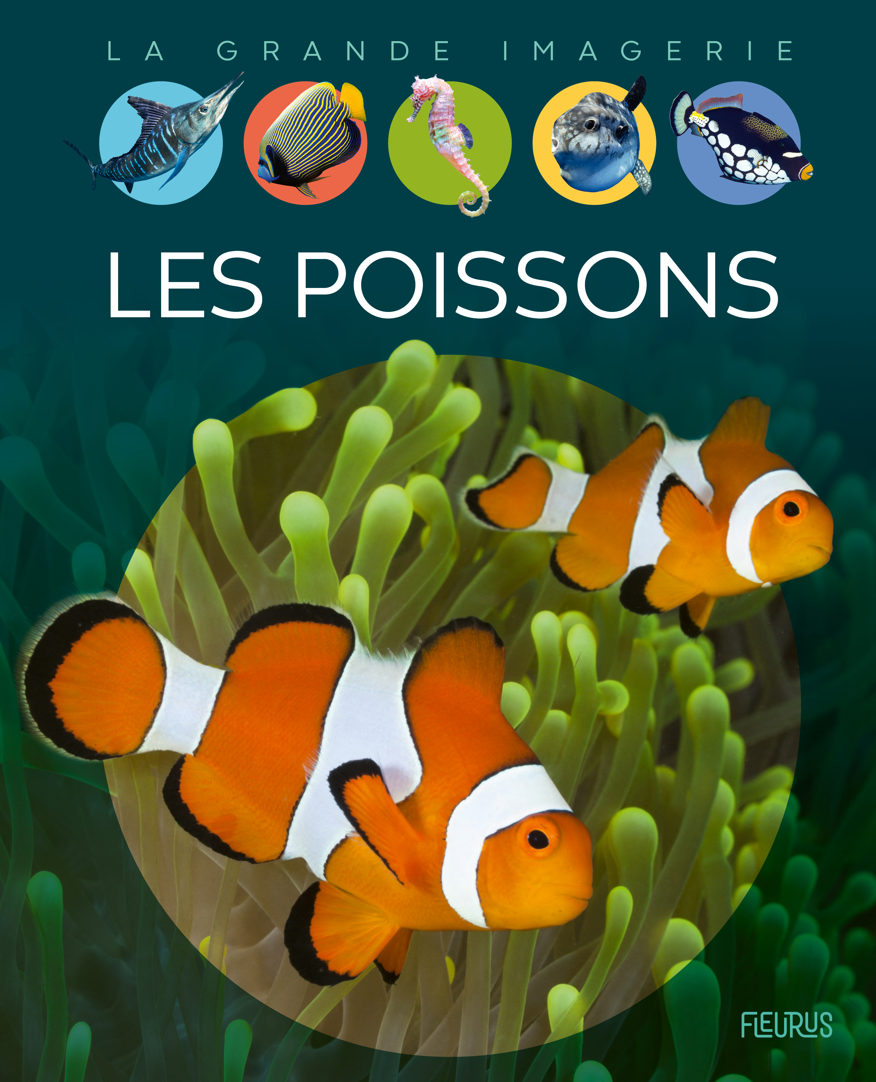 Les poissons (Jeunesse)