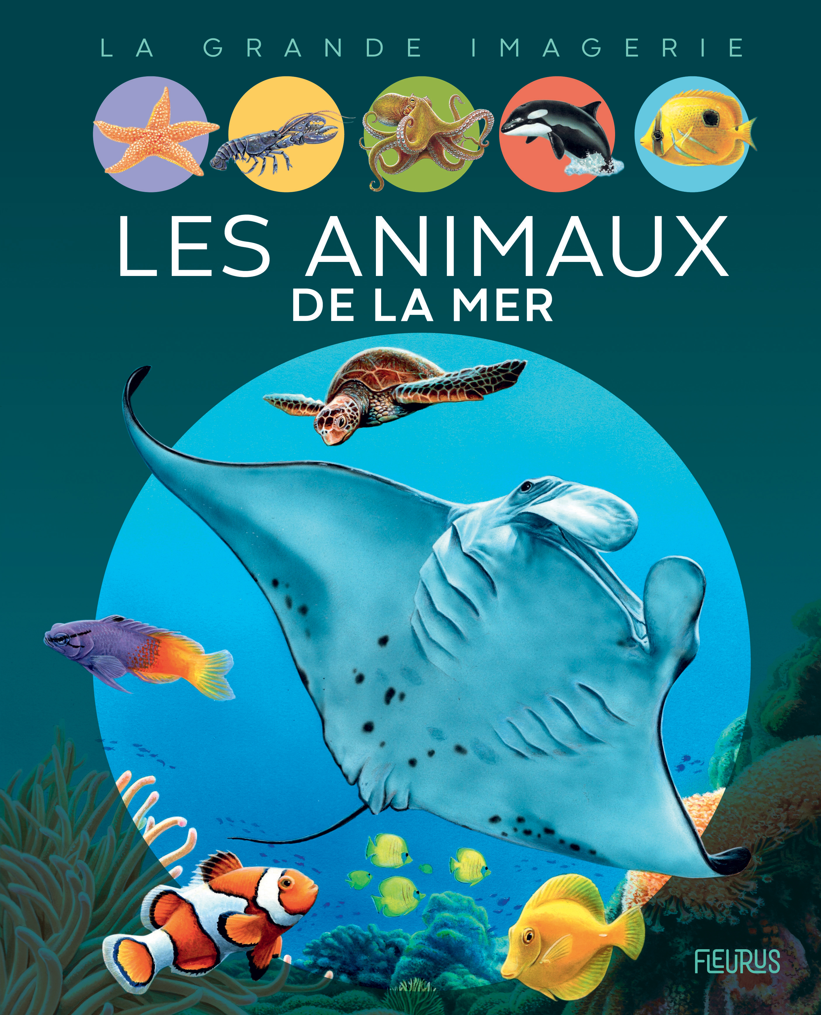 Les animaux de la mer (Jeunesse)