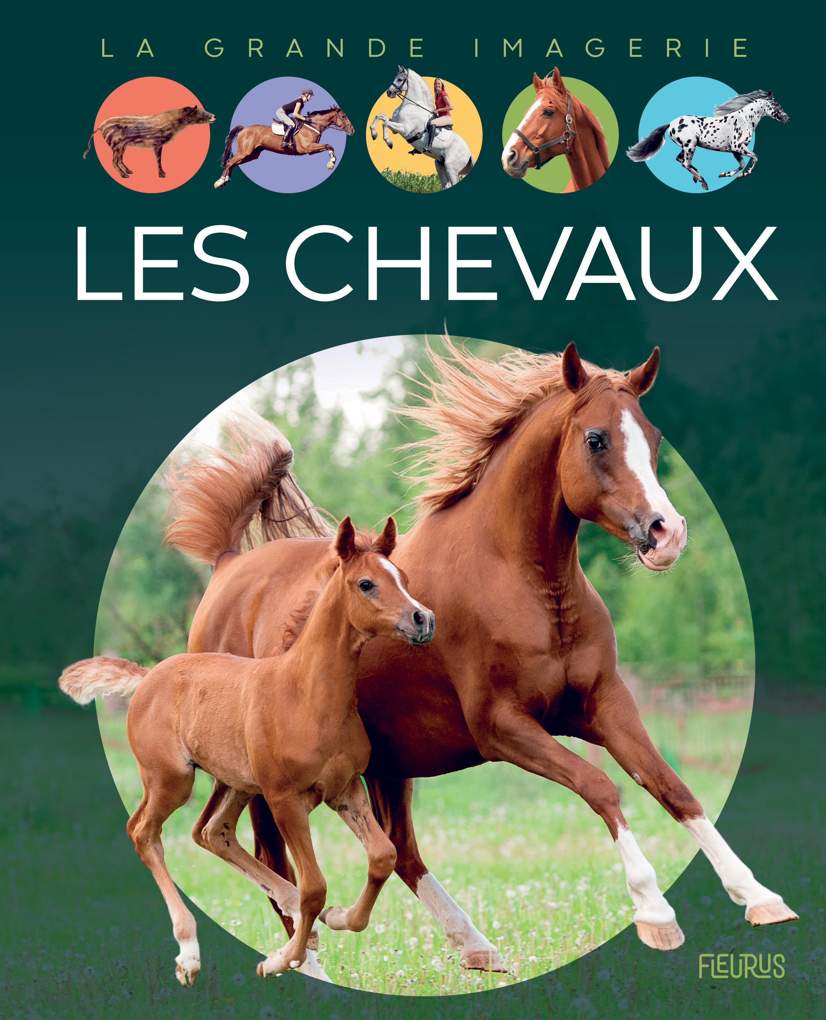 Les chevaux (Jeunesse)
