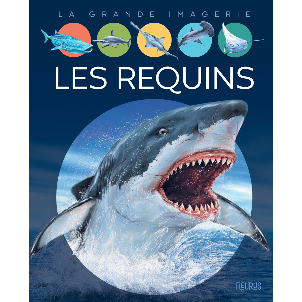 Les requins (Jeunesse)