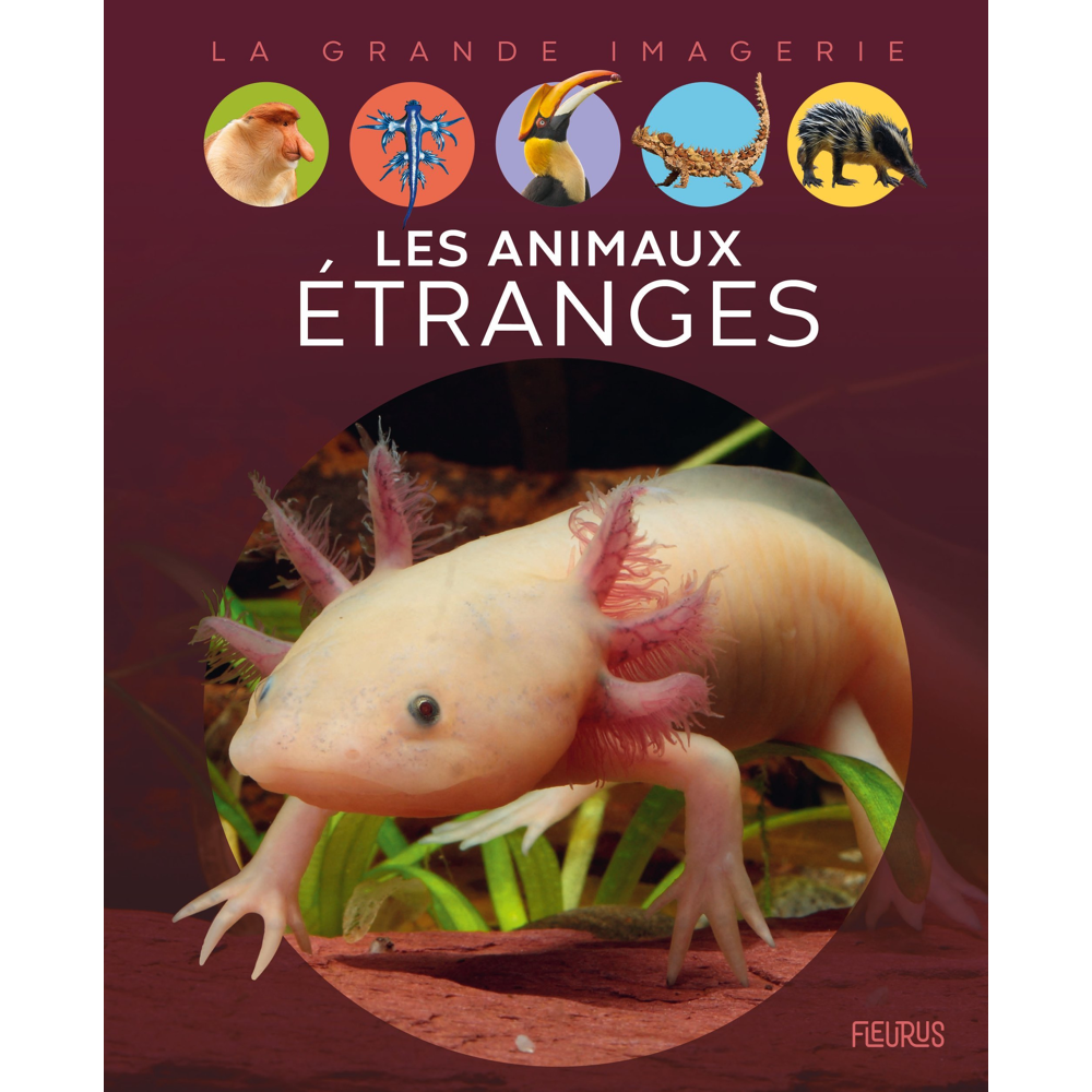 Les animaux étranges (Jeunesse)