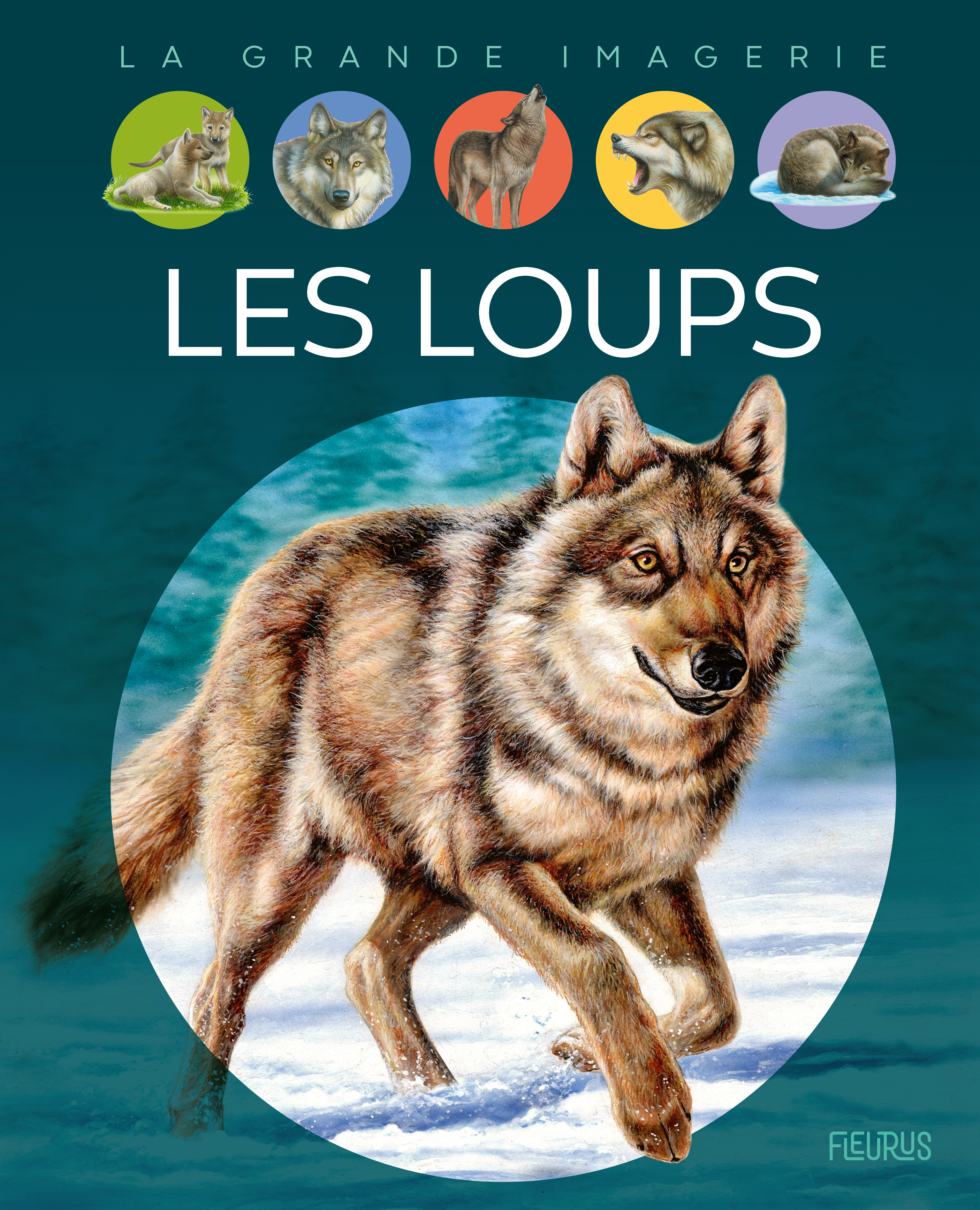 Les loups (Jeunesse)