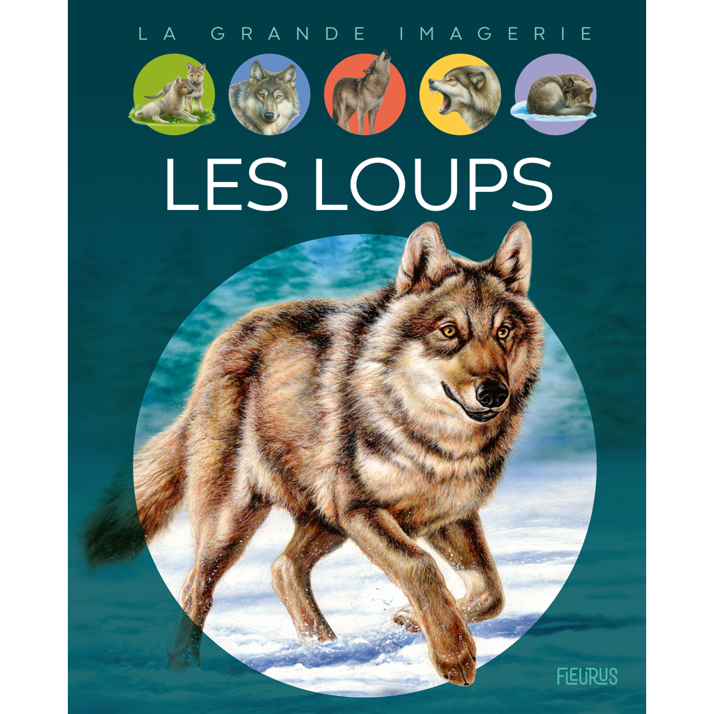 Les loups (Jeunesse)