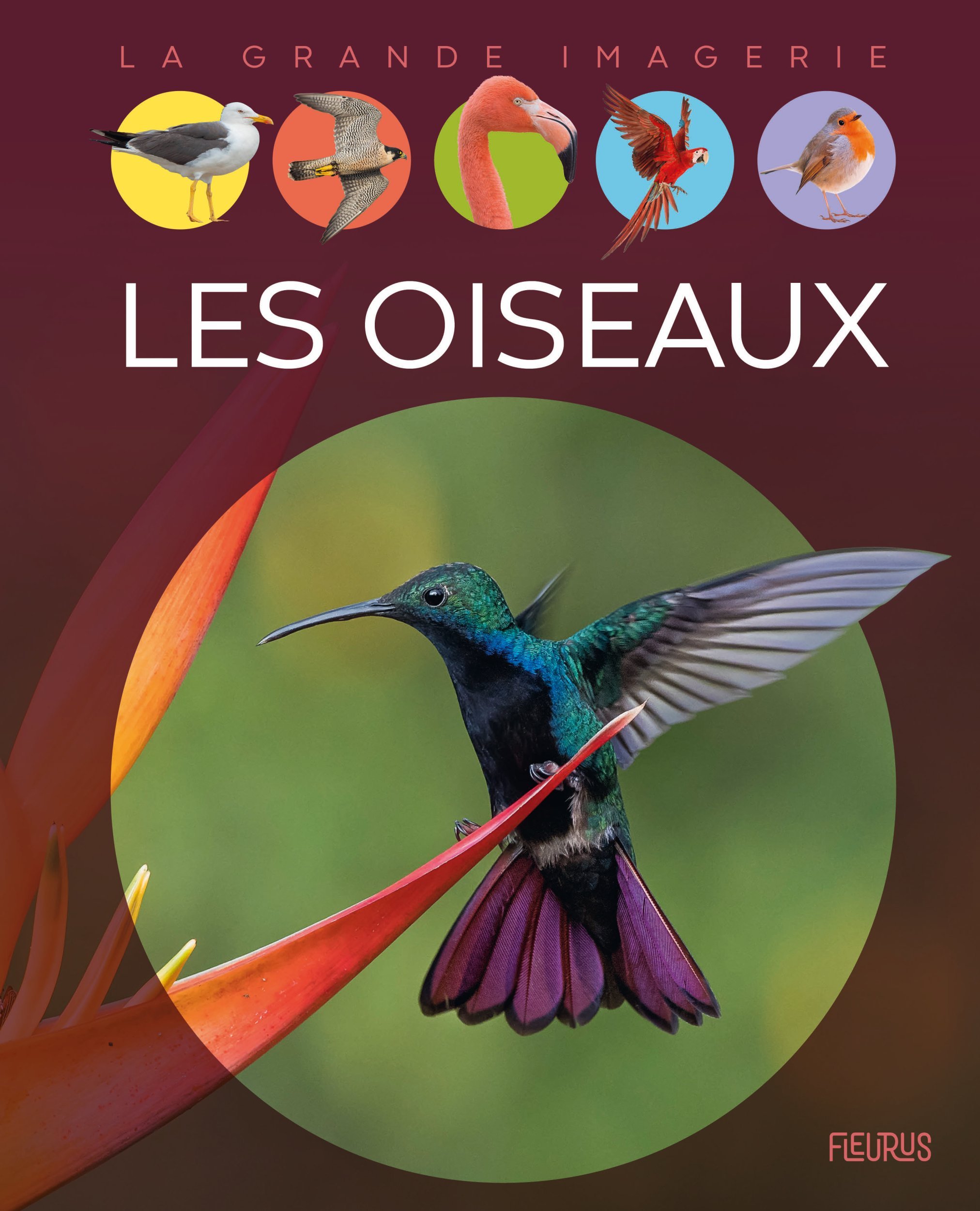 Les oiseaux (Jeunesse)