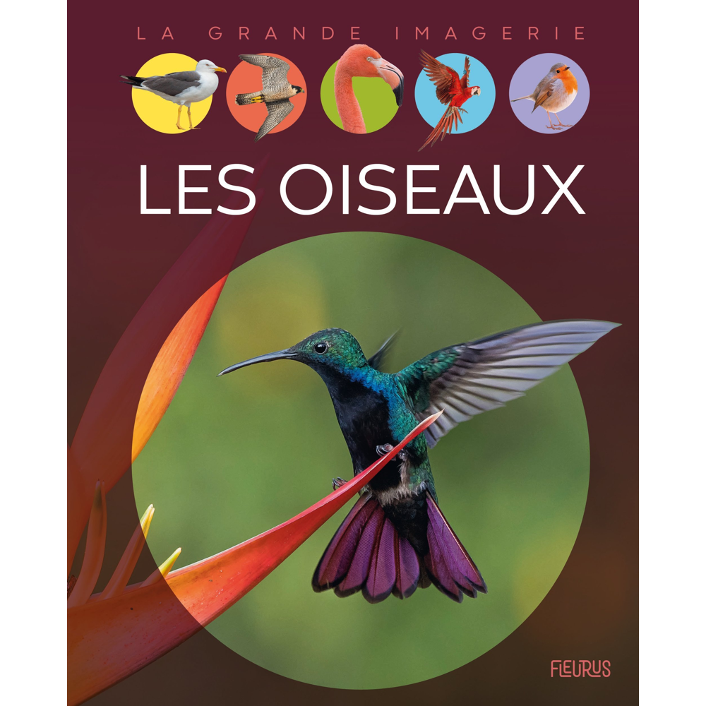 Les oiseaux (Jeunesse)