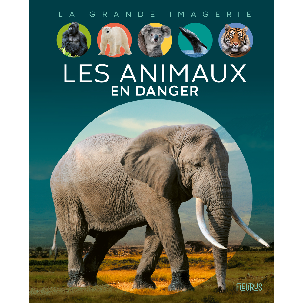 Les animaux en danger (Jeunesse)