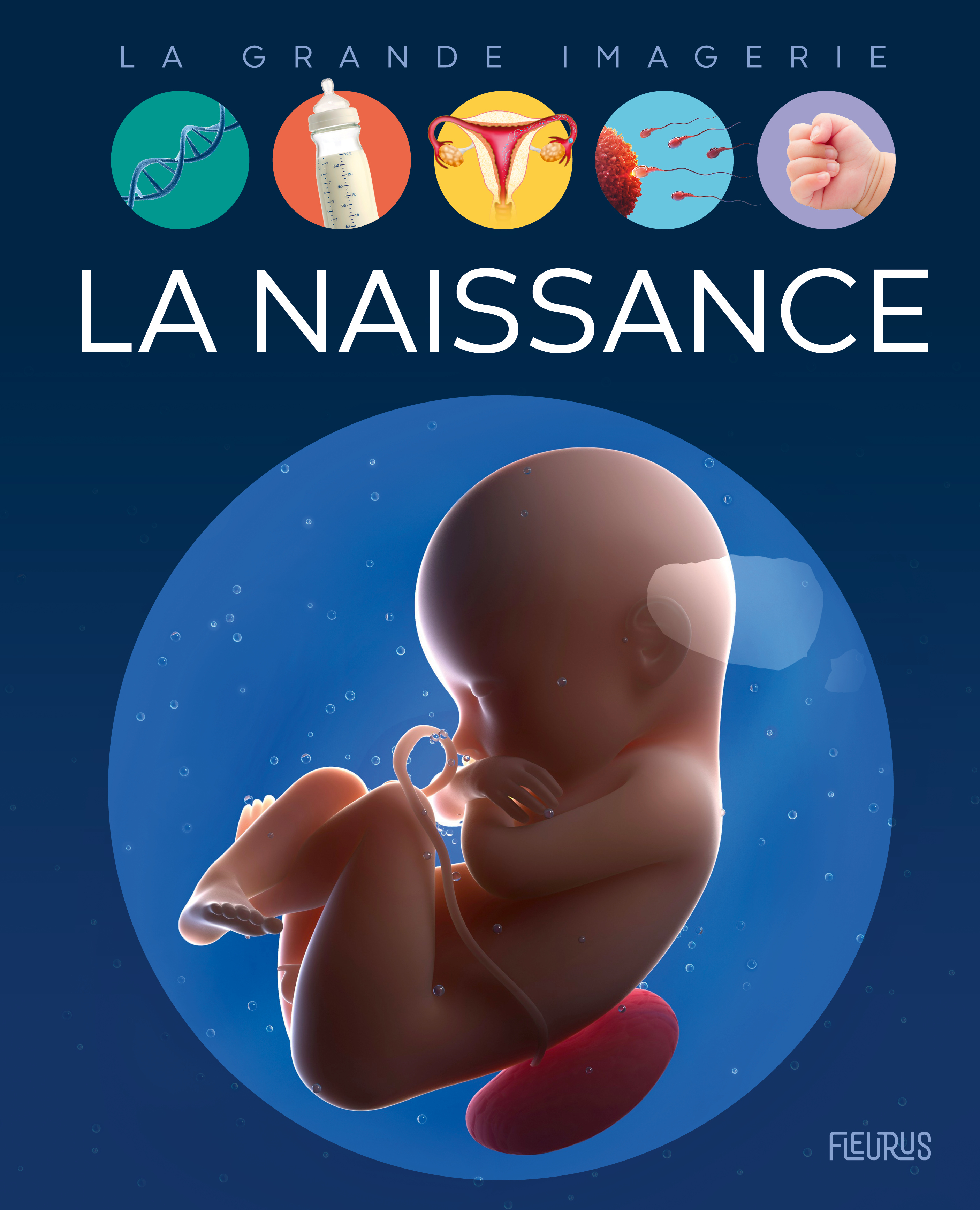La naissance (Jeunesse)