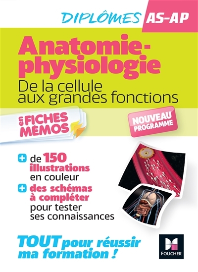 Anatomie-physiologie - De la cellule aux grandes fonctions (Broché)