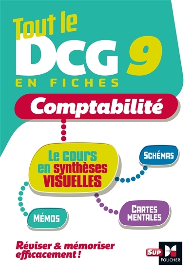 Tout le DCG 9 : mémo cartes - Révision (Broché)