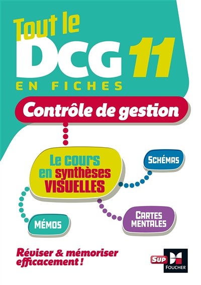 Tout le DCG 11 : mémo cartes - Révision (Broché)