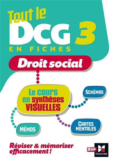Tout le DCG 3 : mémo cartes - Révision (Broché)