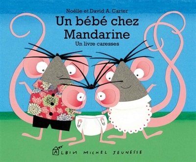 Un bébé chez Mandarine - Un livre caresses (Jeunesse)