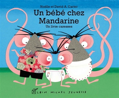 Un bébé chez Mandarine - Un livre caresses (Jeunesse)