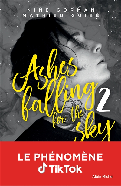 Ashes falling for the sky - tome 2 - Sky burning down to ashes (Jeunesse)