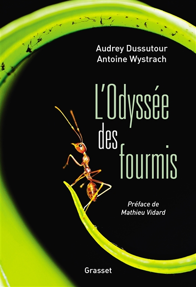 L'Odyssée des fourmis - Préface de Mathieu Vidard (Broché)
