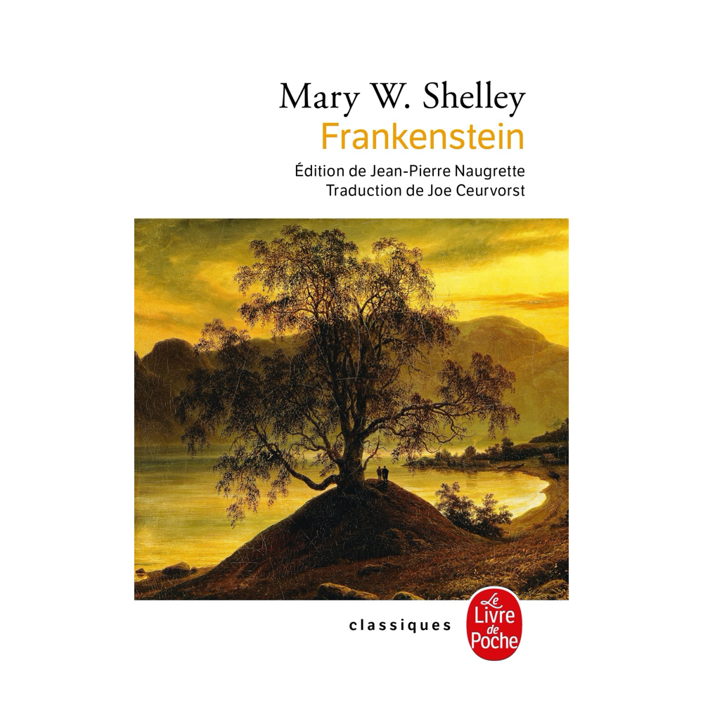 Frankenstein (Poche)