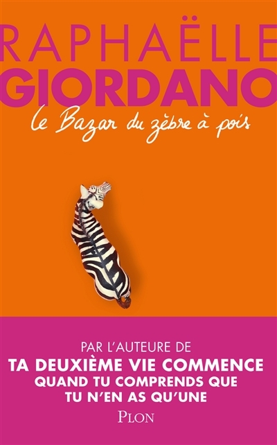 Le bazar du zèbre à pois (Grand format)
