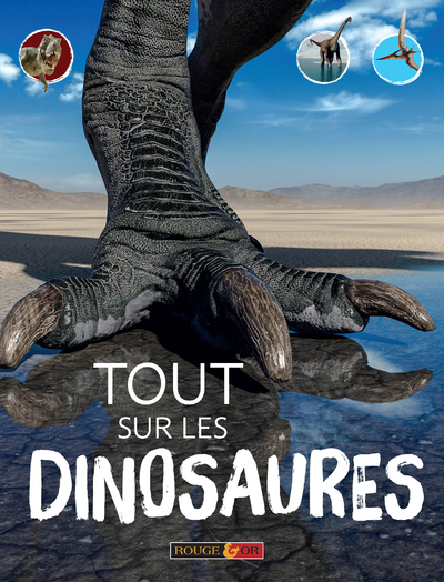 Tout sur les dinosaures (Jeunesse)