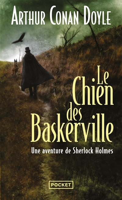 Le chien des Baskerville (Poche)