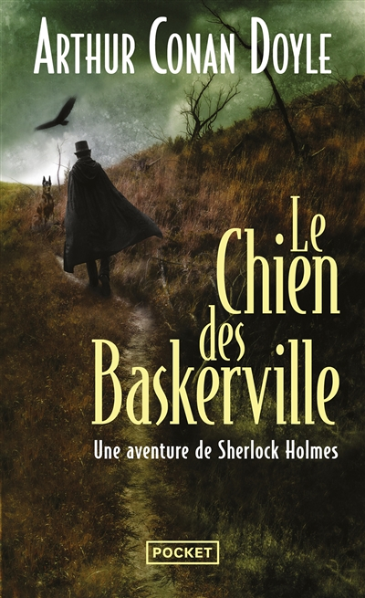 Le chien des Baskerville (Poche)