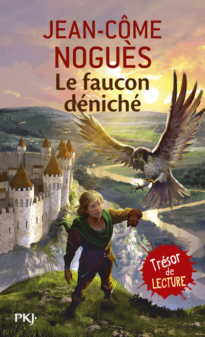 Le faucon déniché (Poche)