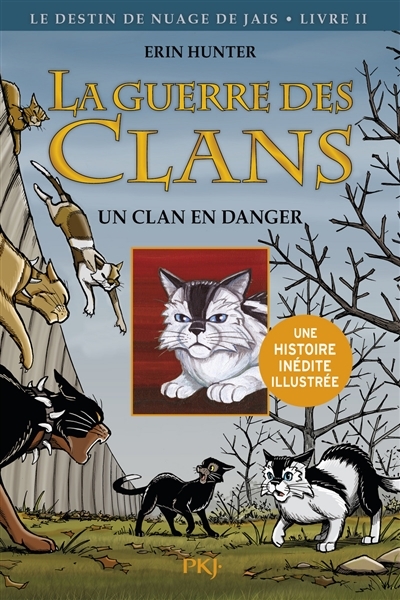 La guerre des Clans cycle II - tome 2 Un clan en danger - Version illustrée (BD)