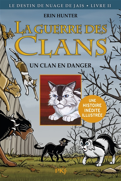 La guerre des Clans cycle II - tome 2 Un clan en danger - Version illustrée (BD)