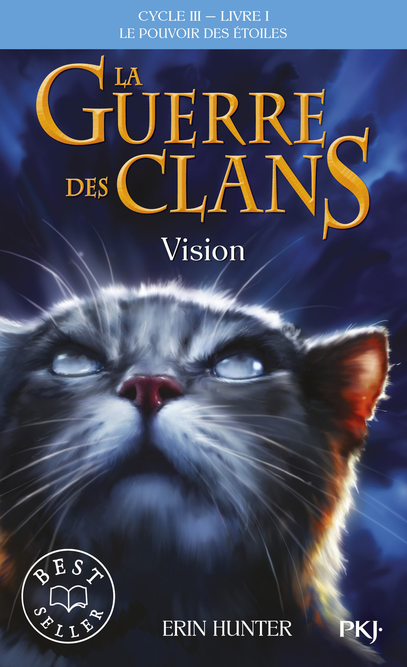 La guerre des Clans cycle III Le pouvoir des étoiles - tome 1 vision (Poche)