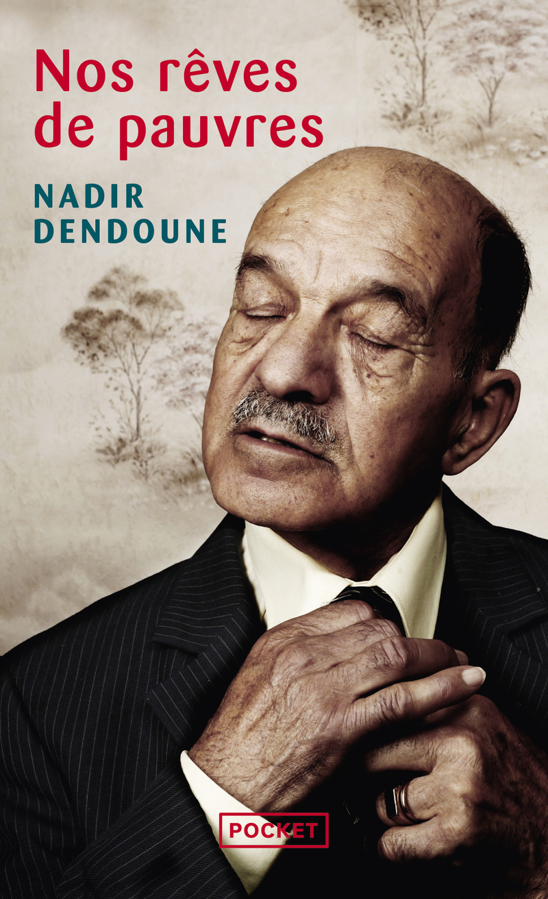 Nos rêves de pauvres (Broché)