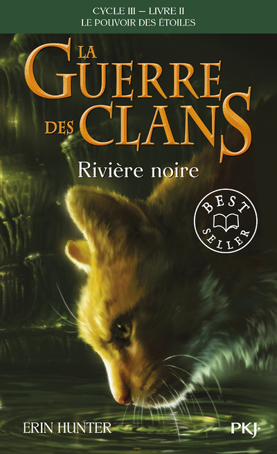 La guerre des Clans cycle III Le pouvoir des étoiles - tome 2 Rivière noire (Poche)