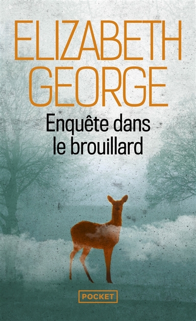Enquête dans le brouillard (Poche)