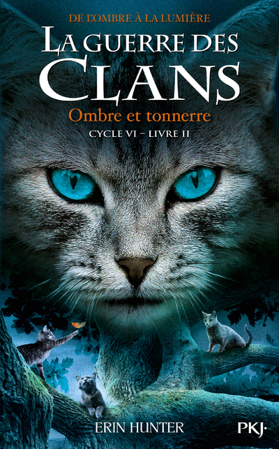 La Guerre des clans, Cycle VI - tome 2 Ombre et tonnerre (Jeunesse)