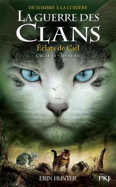 La Guerre des clans, Cycle VI - tome 3 Éclats de Ciel (Jeunesse)