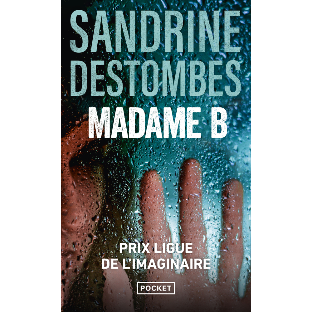Madame B (Poche)