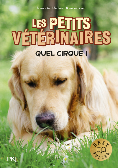 Les petits vétérinaires - Tome 25 Quel cirque ! (Broché)