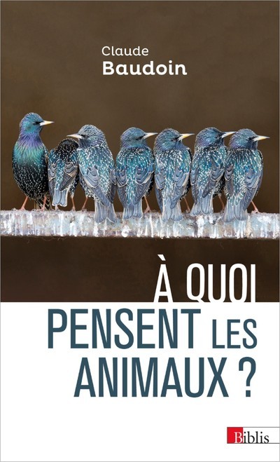 A quoi pensent les animaux ? (Broché)