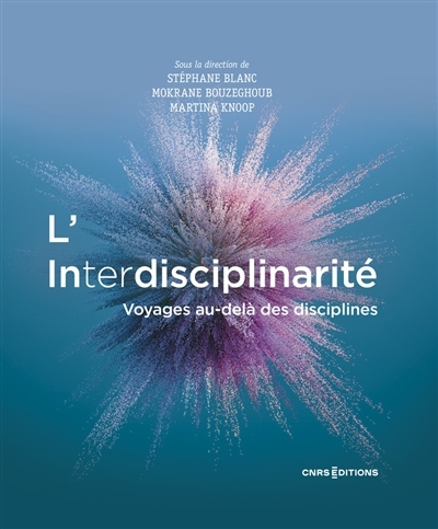 L'Interdisciplinarité - Voyages au delà des disciplines (Broché)