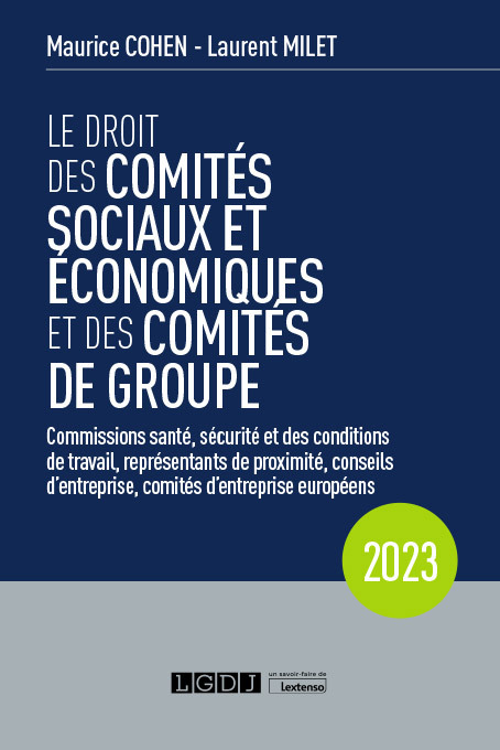 Le droit des comités sociaux et économiques et des comités de groupe (CSE) (Broché)