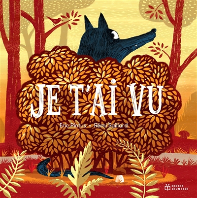 Je t'ai vu (Broché)