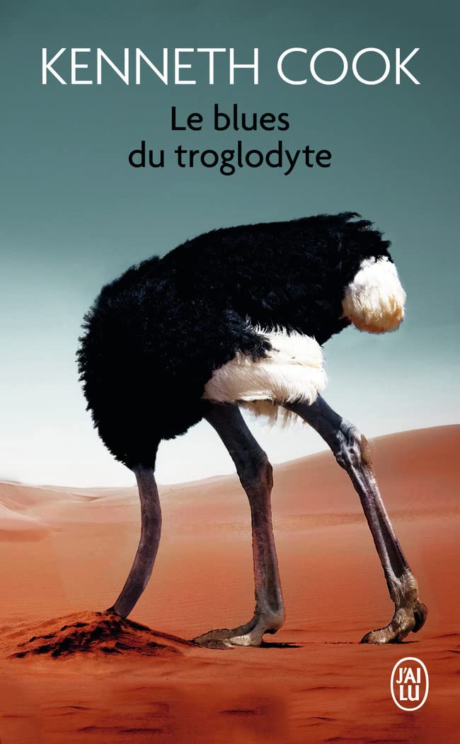 Le blues du troglodyte (Poche)