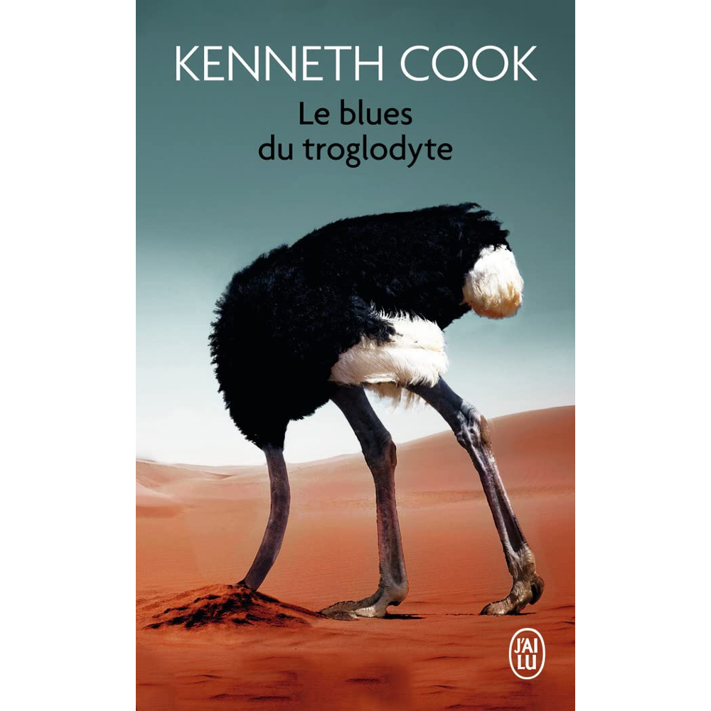 Le blues du troglodyte (Poche)