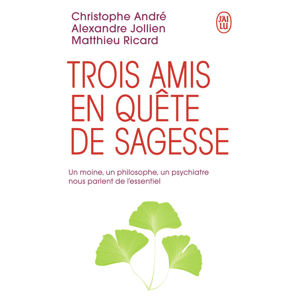 Trois amis en quête de sagesse - Un moine, un philosophe, un psychiatre nous parlent de l'essentiel