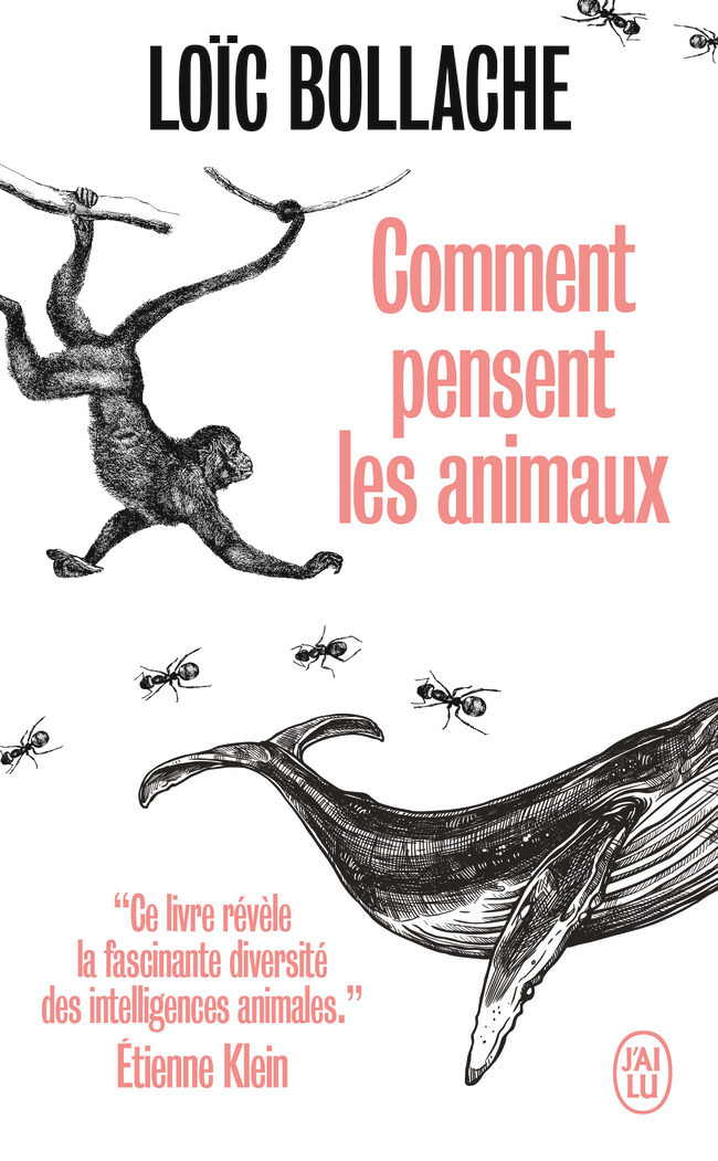 Comment pensent les animaux (Poche)
