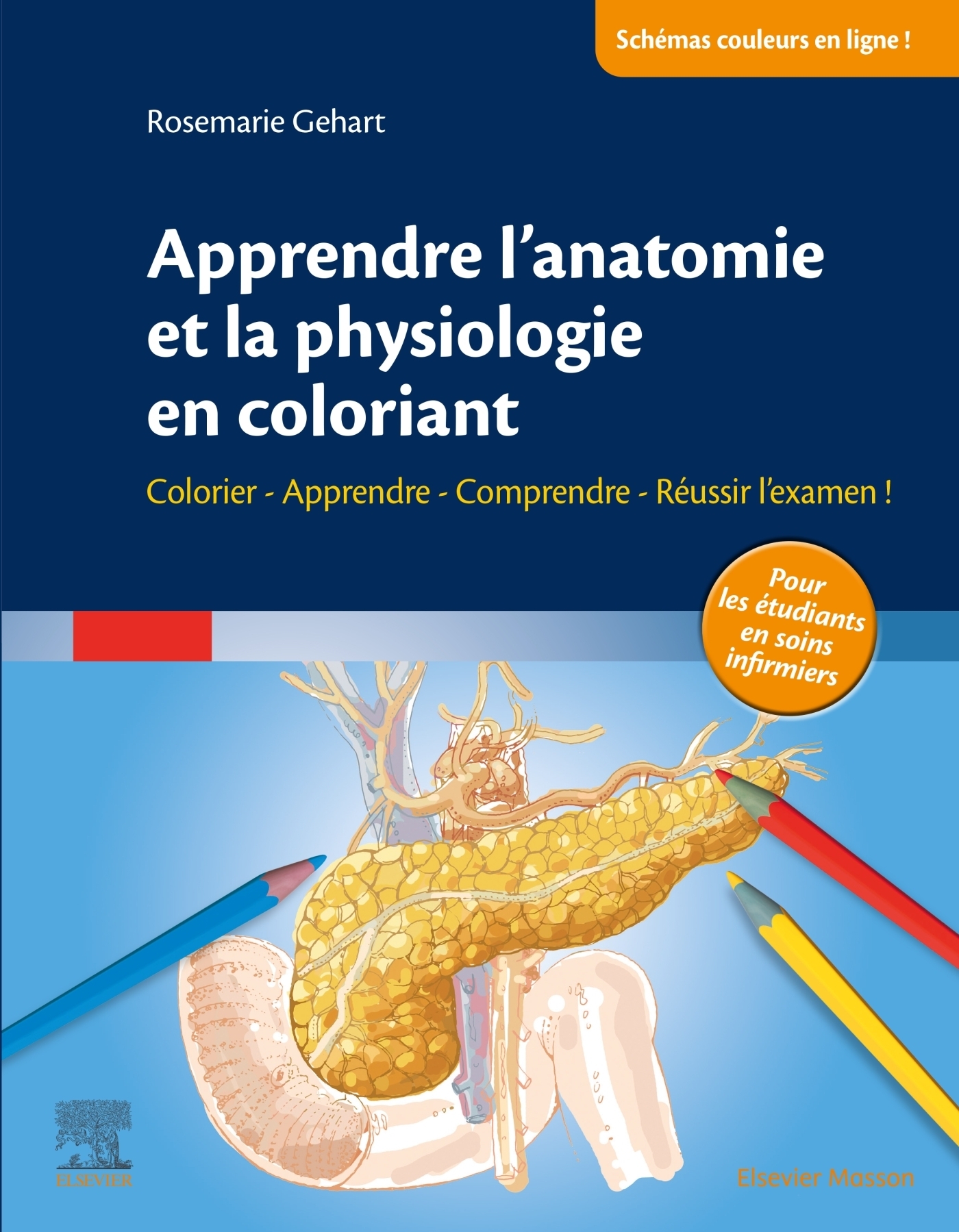 Apprendre l'anatomie et la physiologie en coloriant - Colorier - Apprendre - Comprendre - Réussir l'