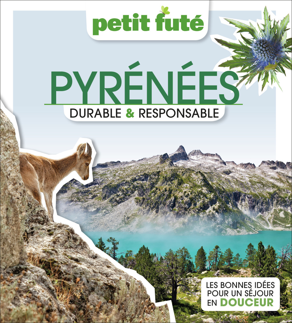 Pyrénées Durable & Responsable 2023 Petit Futé (Broché)