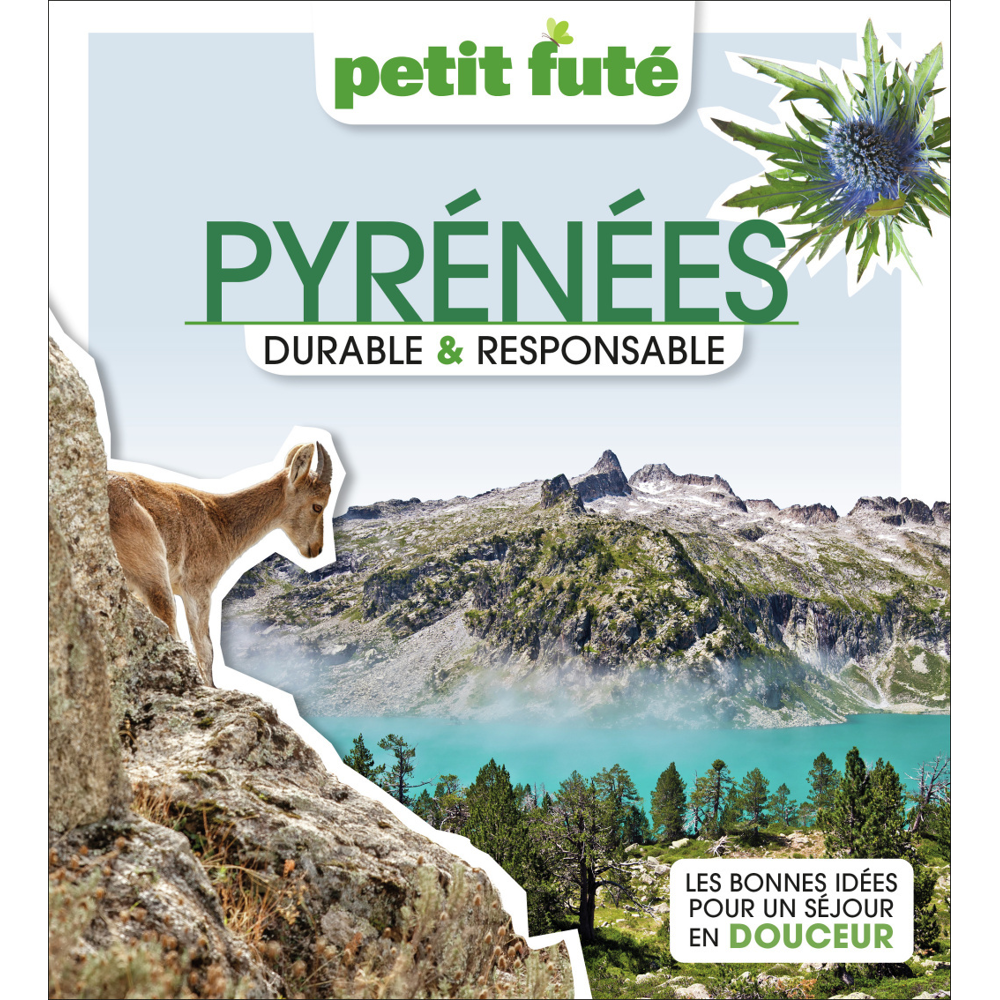 Pyrénées Durable & Responsable 2023 Petit Futé (Broché)