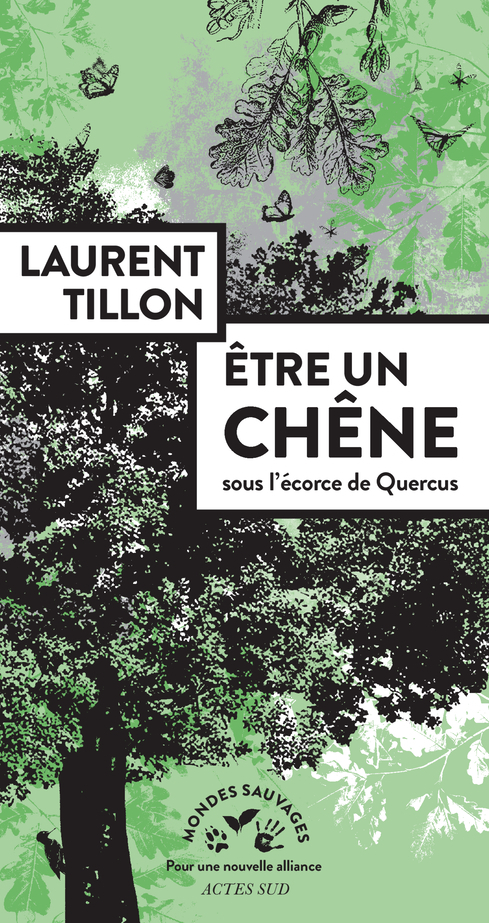 Être un chêne - Sous l'écorce de Quercus (Broché)