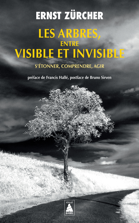 Les Arbres, entre visible et invisible - S'étonner, comprendre, agir (Poche)
