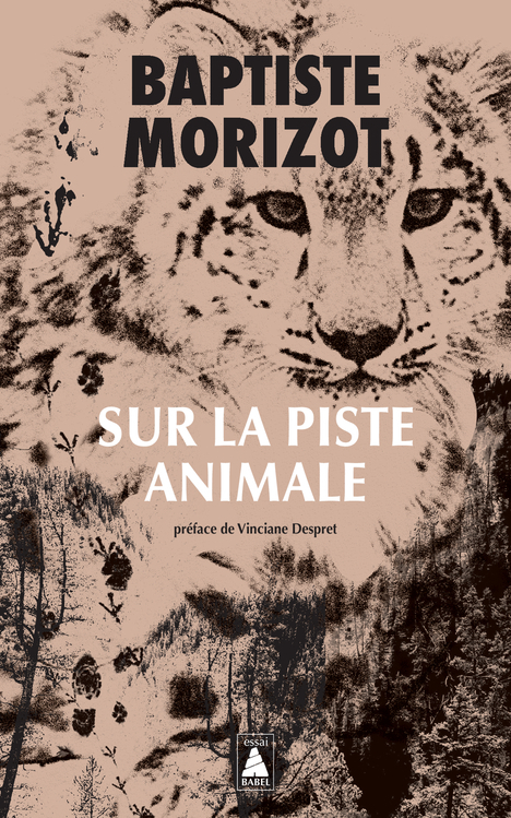 Sur la piste animale (Poche)